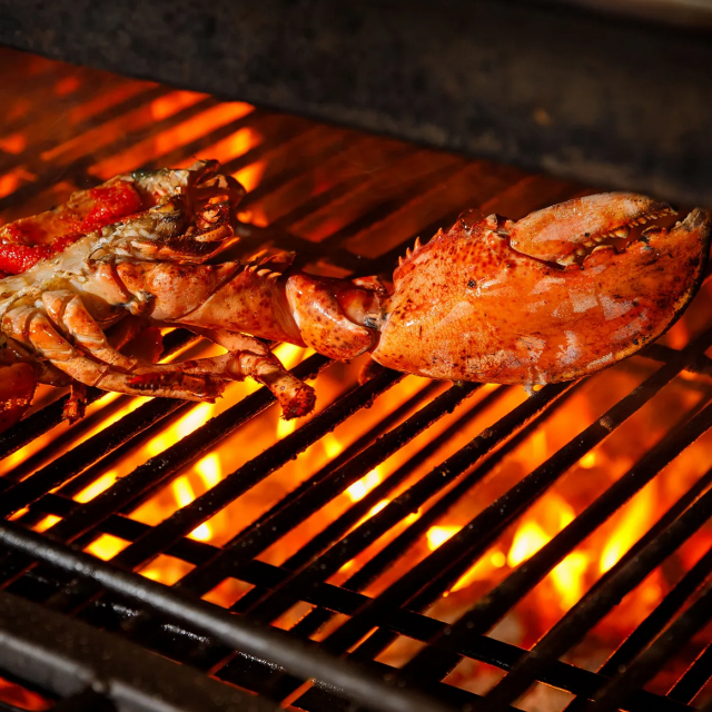 驢子餐廳歡慶 15 歲!招牌「爐烤波士頓龍蝦燉飯」華麗升級只要 880 元-上報