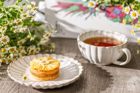 Best Souvenirs In Taiwan-GLORIA Pineapple Cake